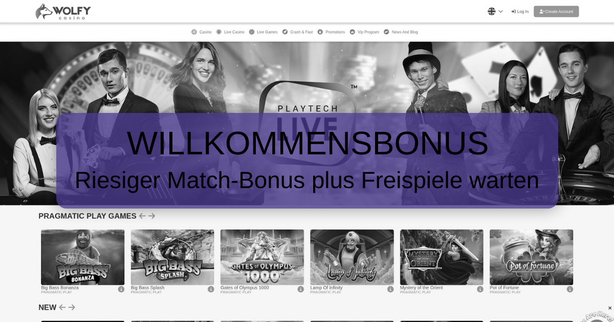 Wolfy Casino Schweiz - Premium Online Gaming